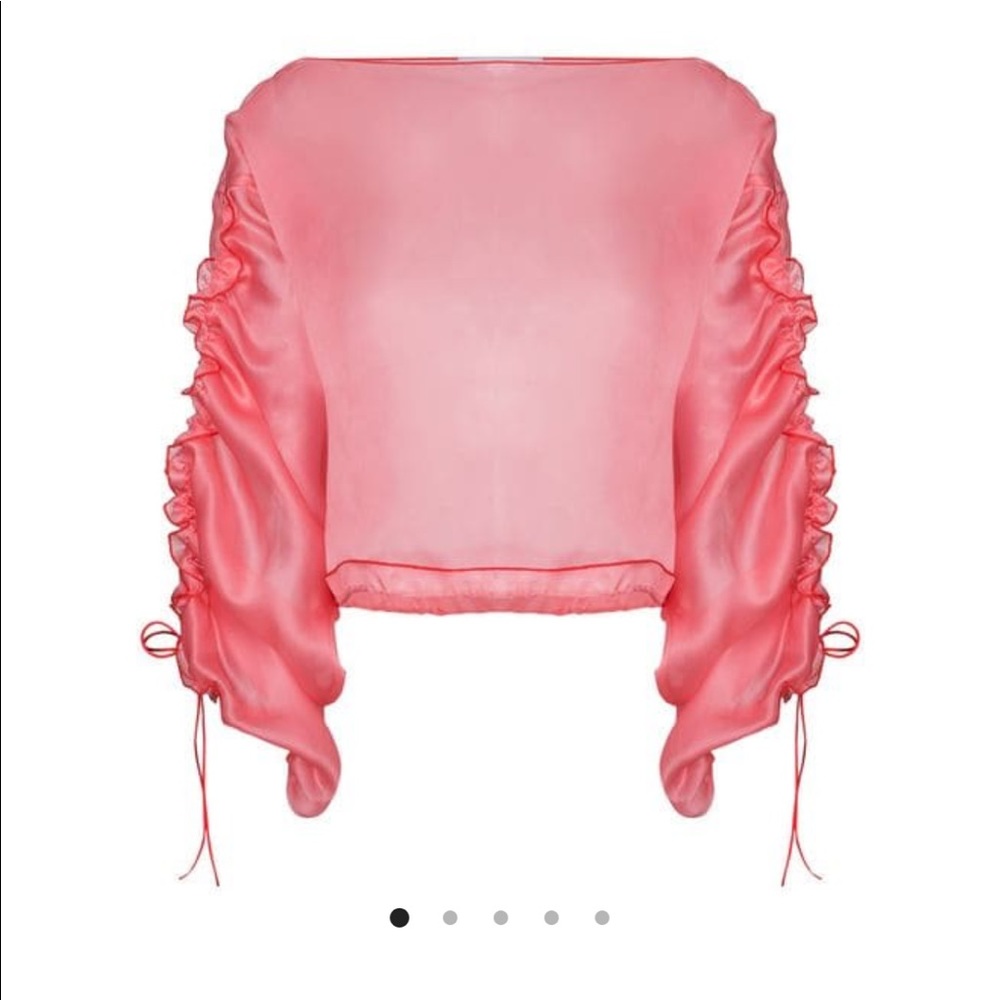 Molly Goddard Sheer Ruched Pink Top